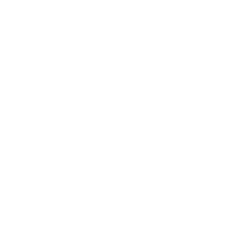 logo blanc aunero